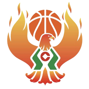 https://img.fchsbearing.com/img/basketball/team/09b49d34027e0409a4de3295f8c71a2d.png