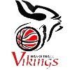 https://img.fchsbearing.com/img/basketball/team/68b3b1e0496d46b3988571d5c75d1ed8.png